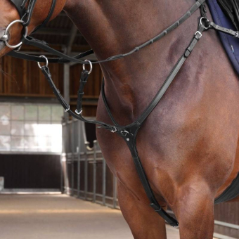 Förbygel med Martingal LUSSO Elite Svart