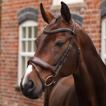 Träns Bred Nosgrimma LUSSO Opus 180M Brun