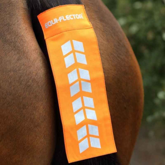 Svansreflex Orange