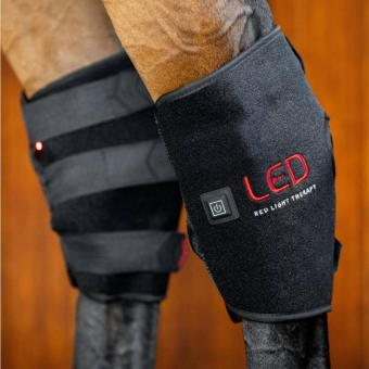 Terapiskydd Hasled LED Red Light Therapy Svart