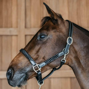 Lädergrimma Plaited WBD Svart