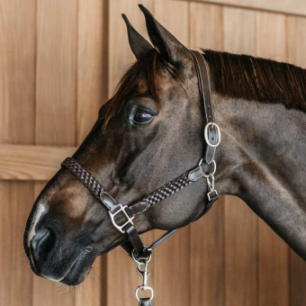 Lädergrimma Plaited WBD Brun