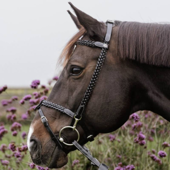 Träns Plaited Training Working Collection Svart