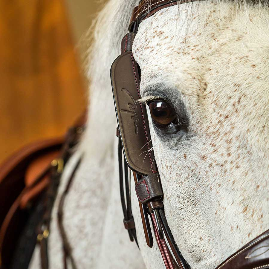 Fokus / Blinkers 2-pack Brun