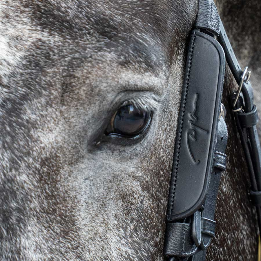 Fokus / Blinkers 2-pack Svart