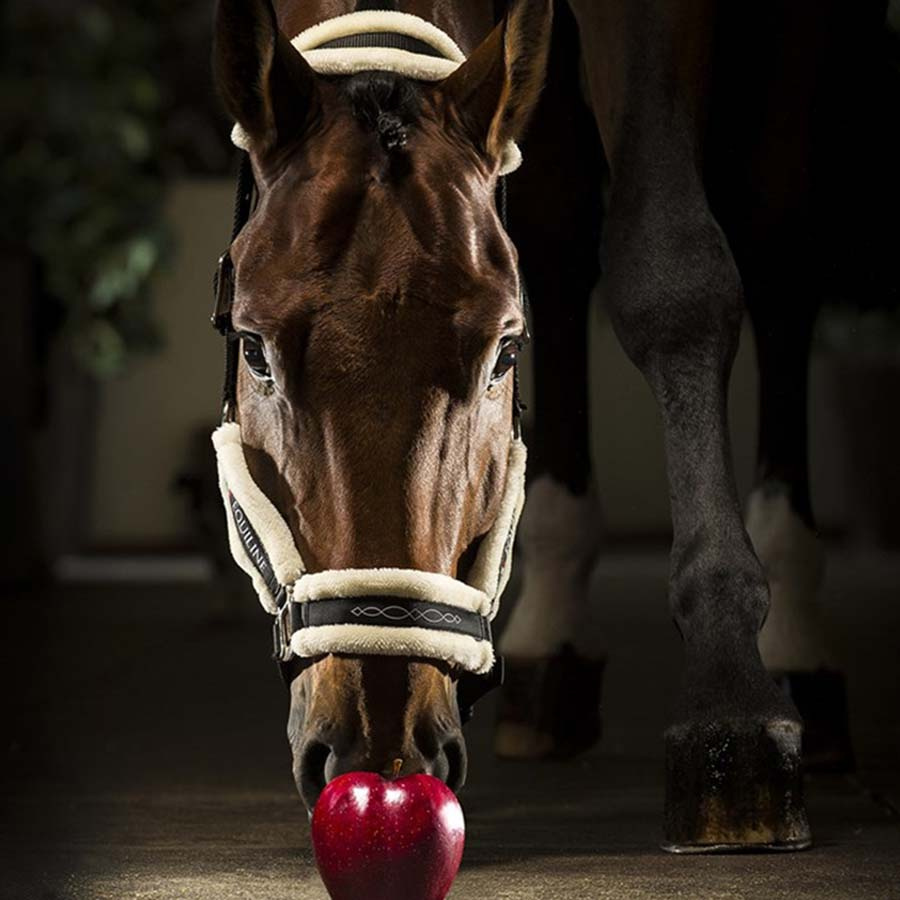 Grimma Med Fårskinn Tom Svart