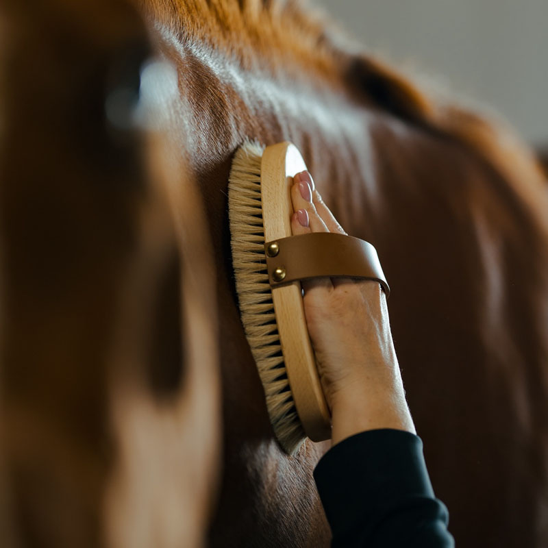 Ryktborste med Läderrem Tagel Brun