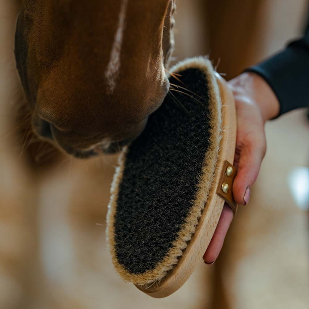 Ryktborste med Läderrem Tagel Brun
