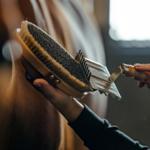 Ryktborste med Läderrem Tagel Brun Ryktborste med Läderrem Tagel Brun