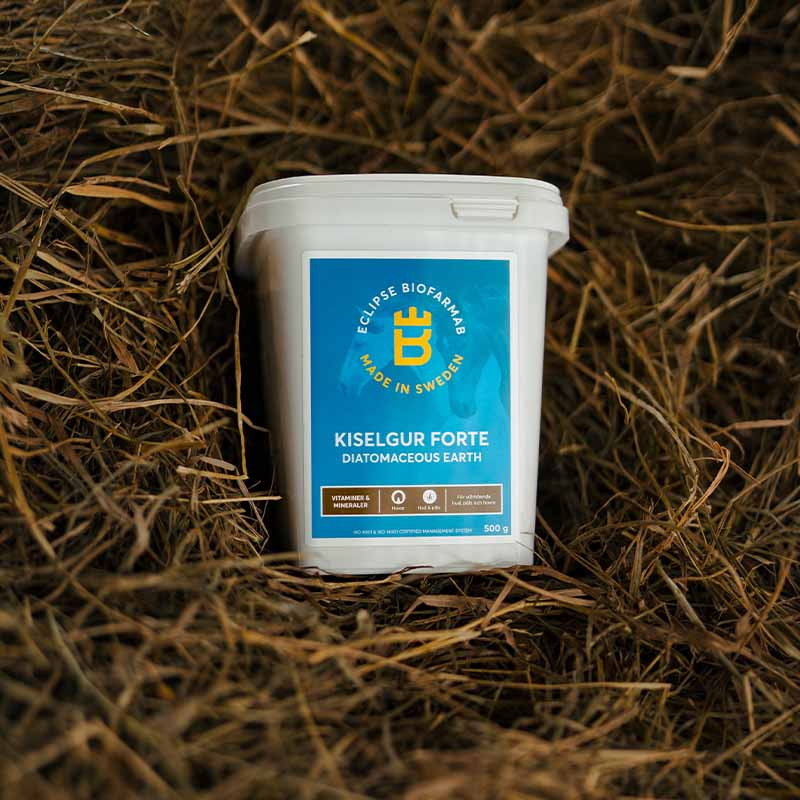 Kiselgur Forte 0.5kg