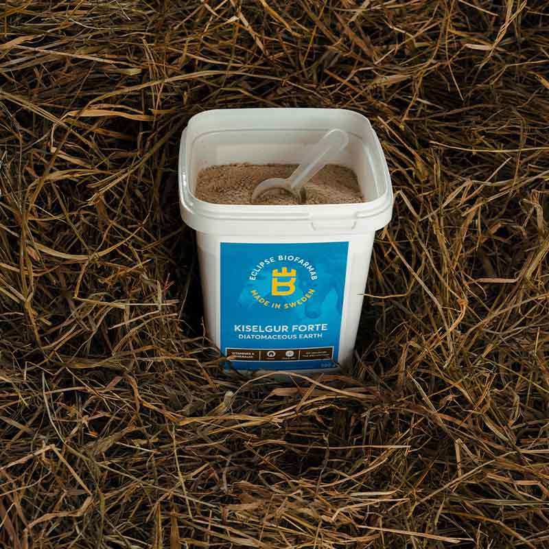 Kiselgur Forte 0.5kg