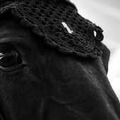 Huva Classic Svart Huva Classic Svart