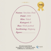 Käpphäst Fendi Käpphäst Fendi