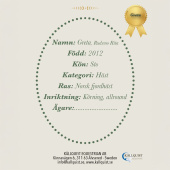 Käpphäst Greta Käpphäst Greta