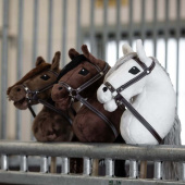 Käpphäst Joline Käpphäst Joline