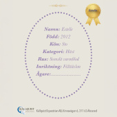 Käpphäst Estelle Käpphäst Estelle