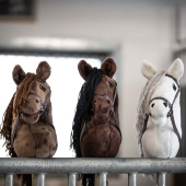 Käpphäst Skylar Käpphäst Skylar