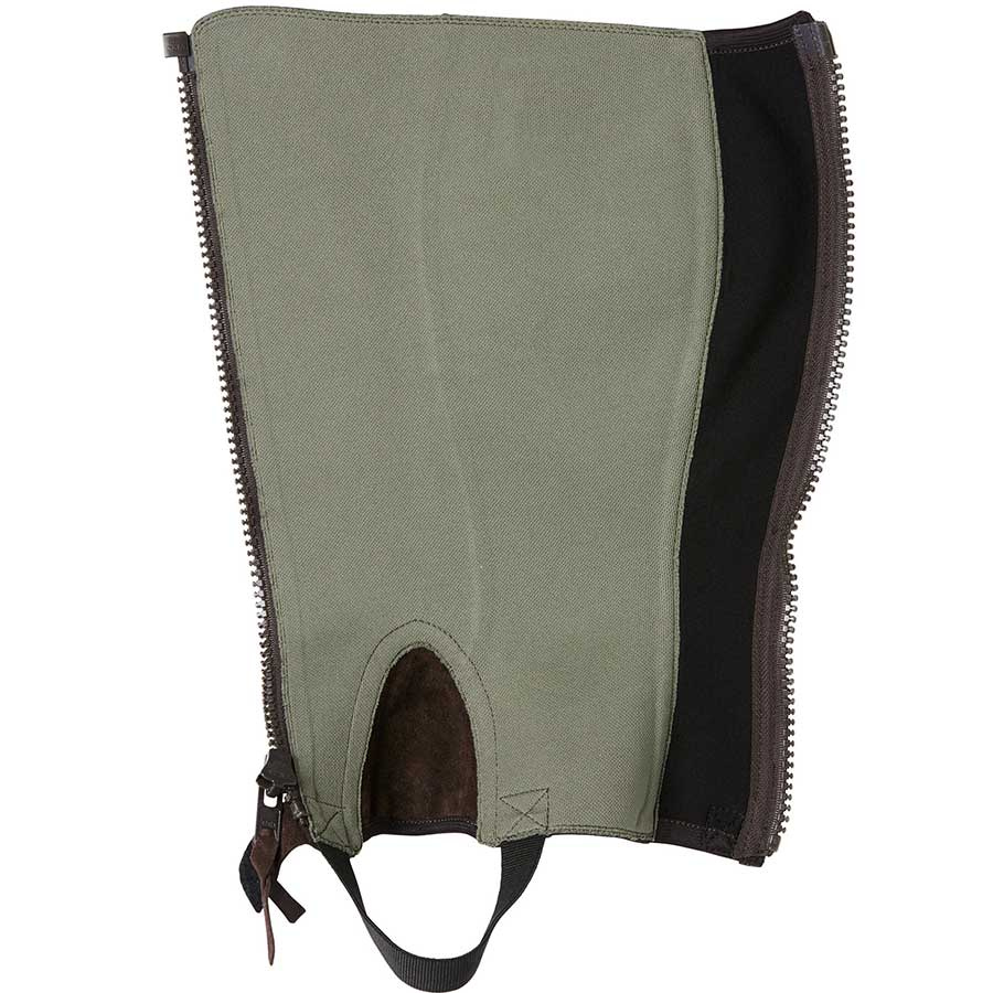 Shortchaps Concorde Brun