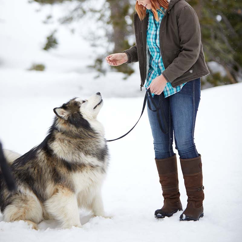 Stövlar Langdale H2O Brun