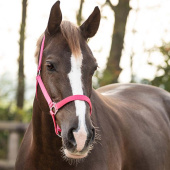 Grimma Slide Fuchsia Grimma Slide Fuchsia