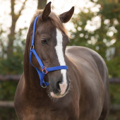 Grimma Slide Blå Grimma Slide Blå