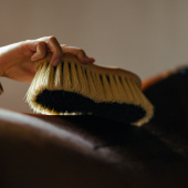 Midjeborste Mix Mex Brun Midjeborste Mix Mex Brun