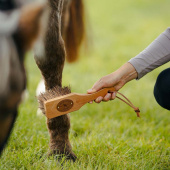 Ryktborste Islänningen Bassine Brun Ryktborste Islänningen Bassine Brun