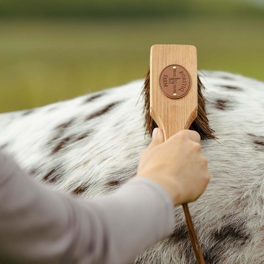 Ryktborste Islänningen Bassine Brun