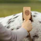Ryktborste Islänningen Bassine Brun Ryktborste Islänningen Bassine Brun