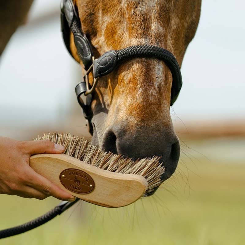 Borste S-Panel Unionmix Brun Medium