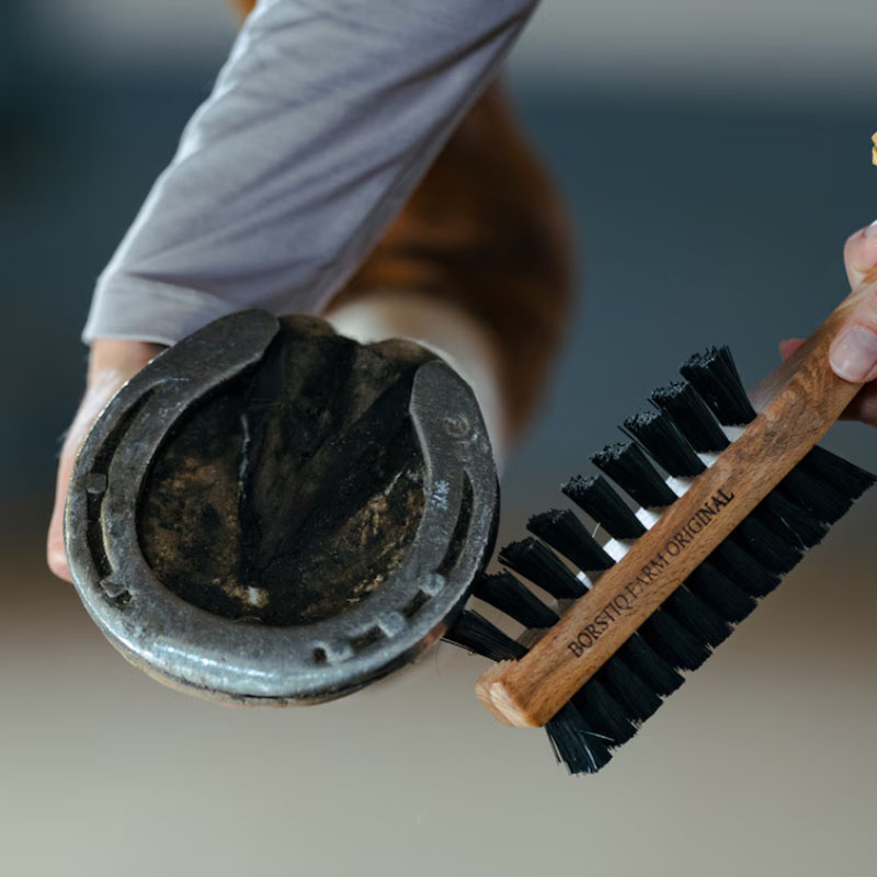 Hovborste med Hovkrats Dubbelsidig Brun