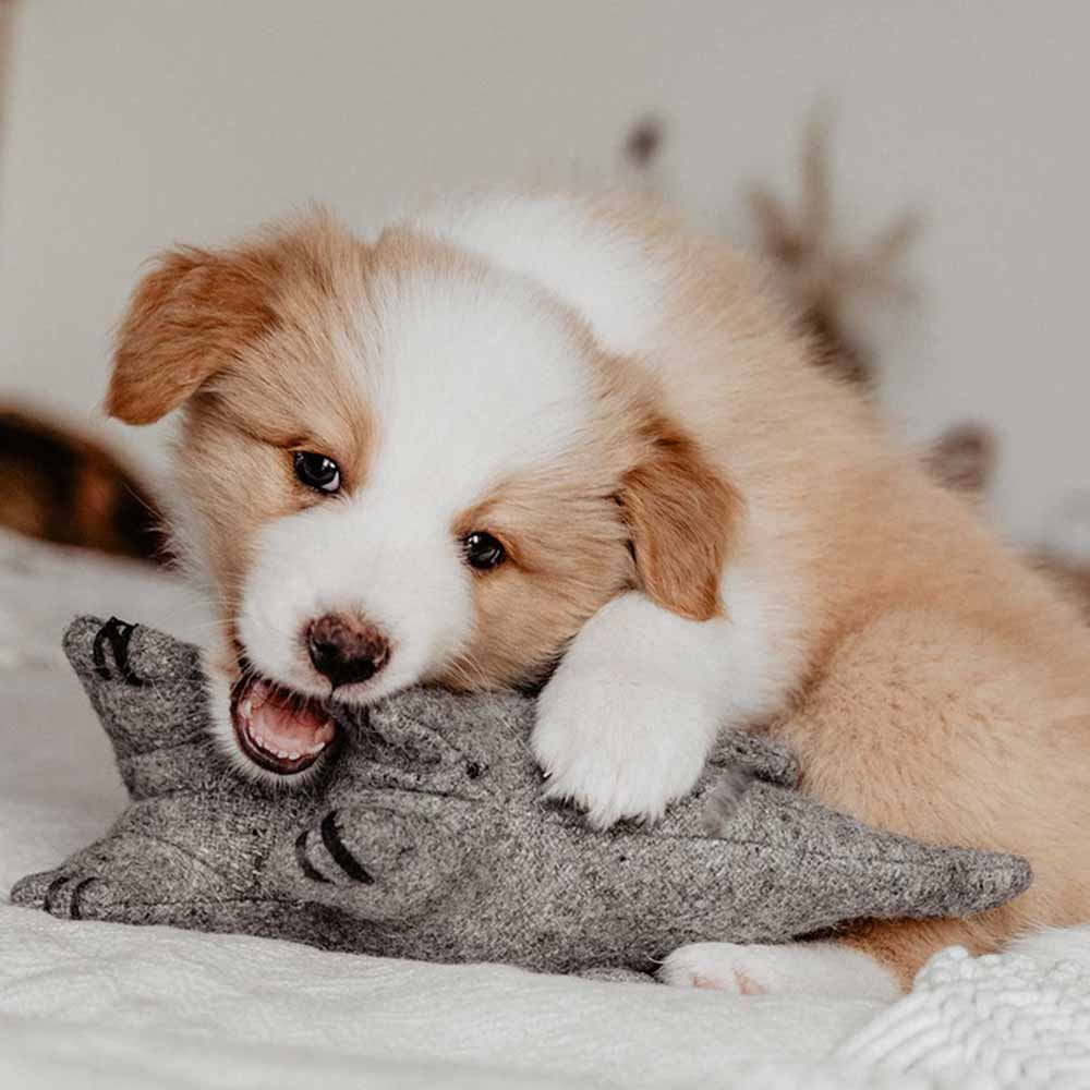 Hundleksak Eiby Elephant Ull Grå