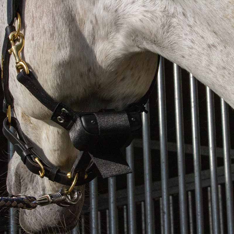 Fölvakt Birth Alarm Premium