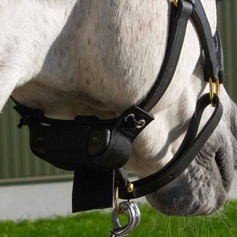 Fölvakt Birth Alarm Premium