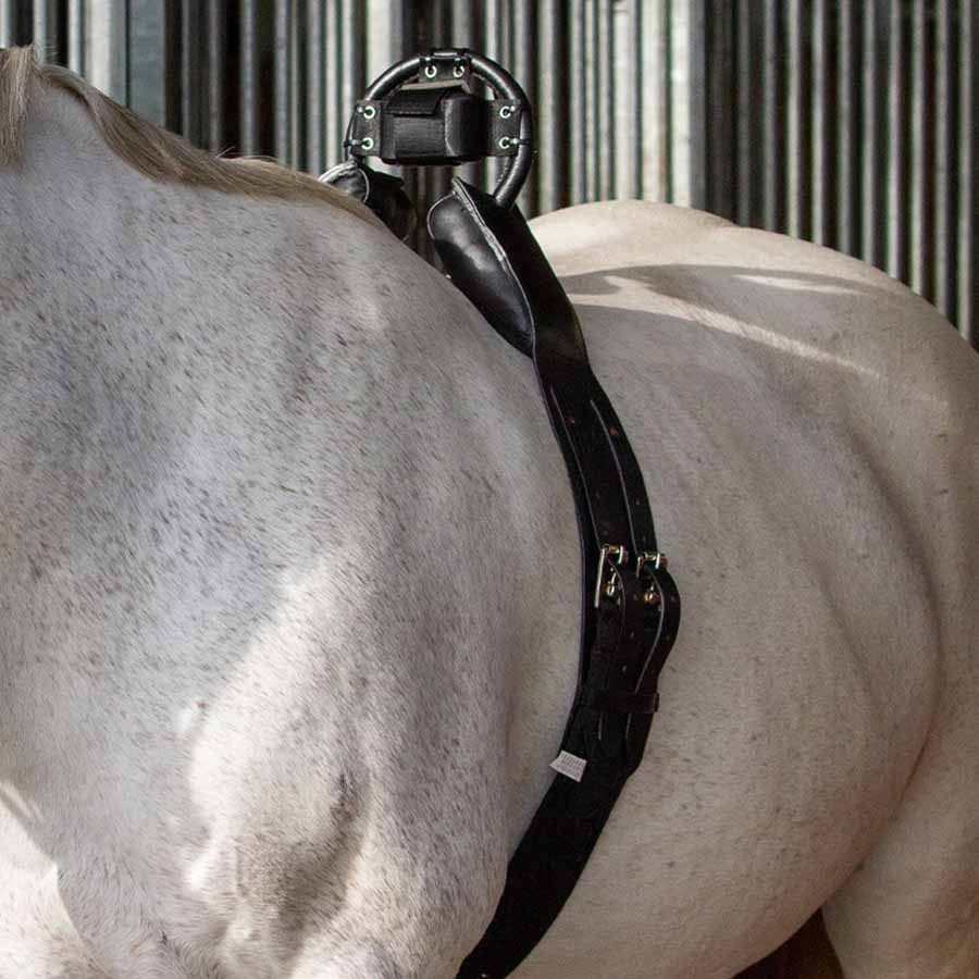 Fölvakt Birth Alarm Premium