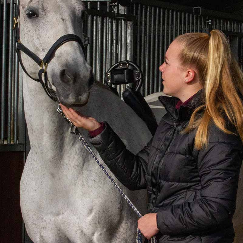 Fölvakt Birth Alarm Premium