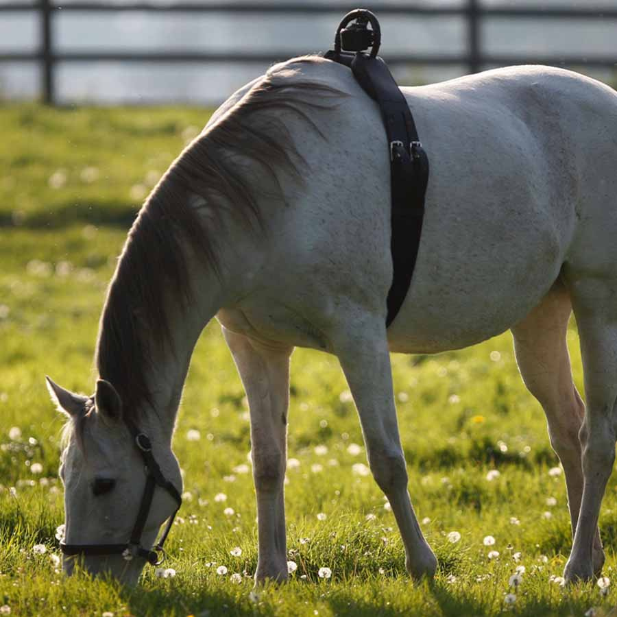 Fölvakt Birth Alarm Lite 2.0