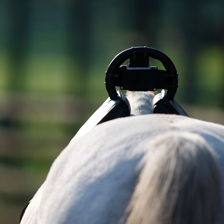 Fölvakt Birth Alarm Lite 2.0