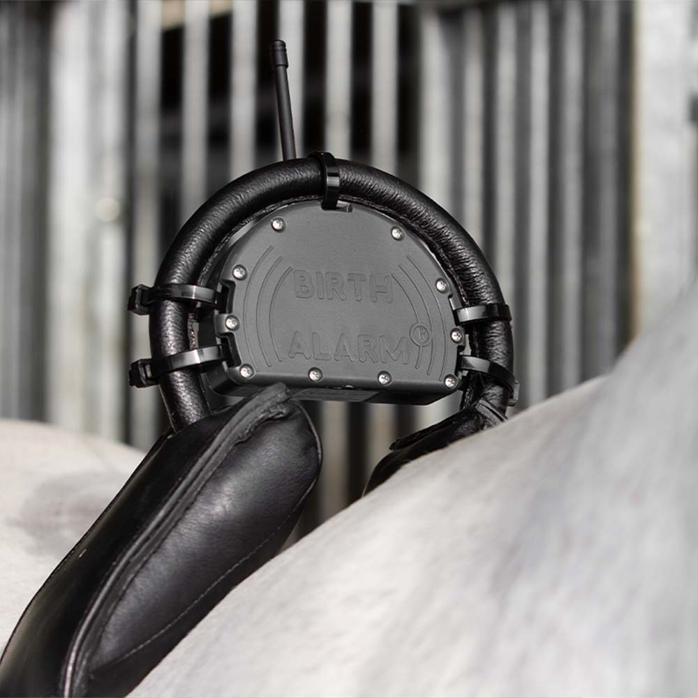 Fölvakt Birth Alarm Mobile 2.0 med Anti-Rullgjord