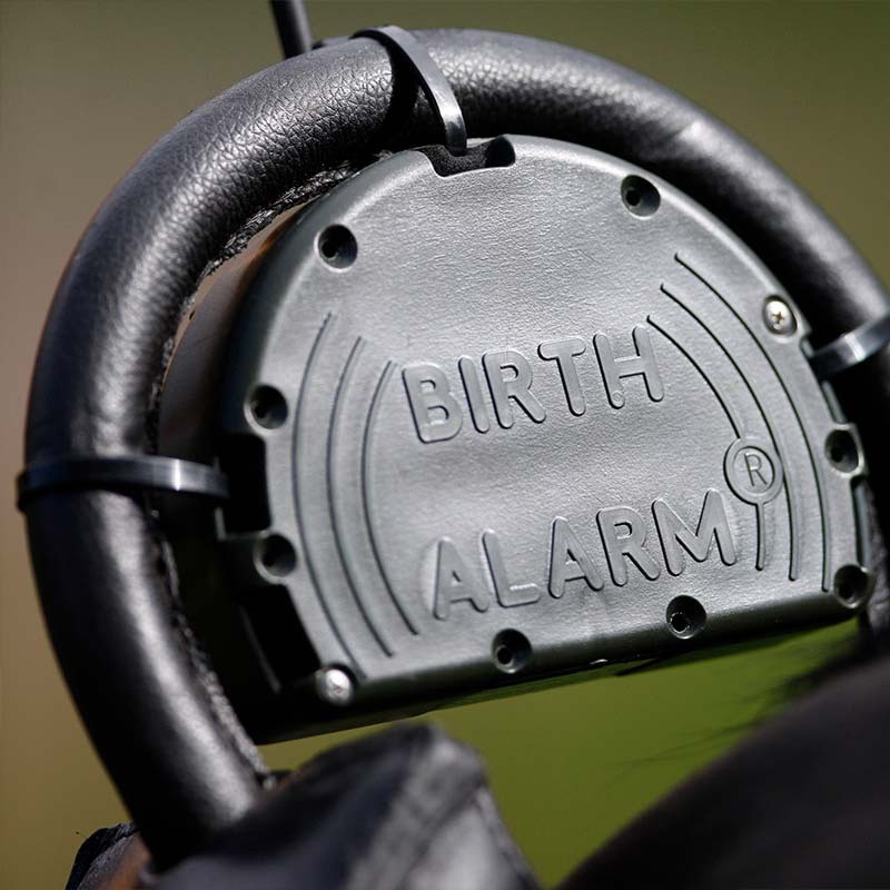 Fölvakt Birth Alarm Mobile 2.0 med Anti-Rullgjord