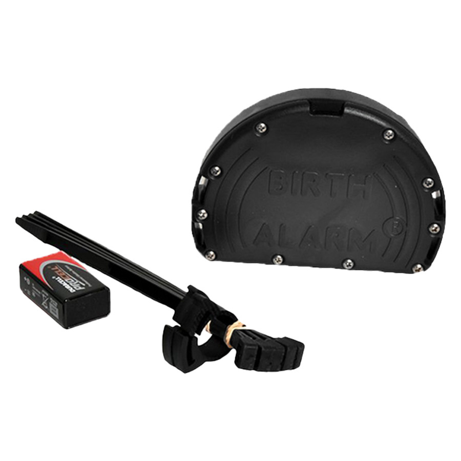 Fölvakt Birth Alarm Mobile 2.0 med Anti-Rullgjord & WiFi-Kamera