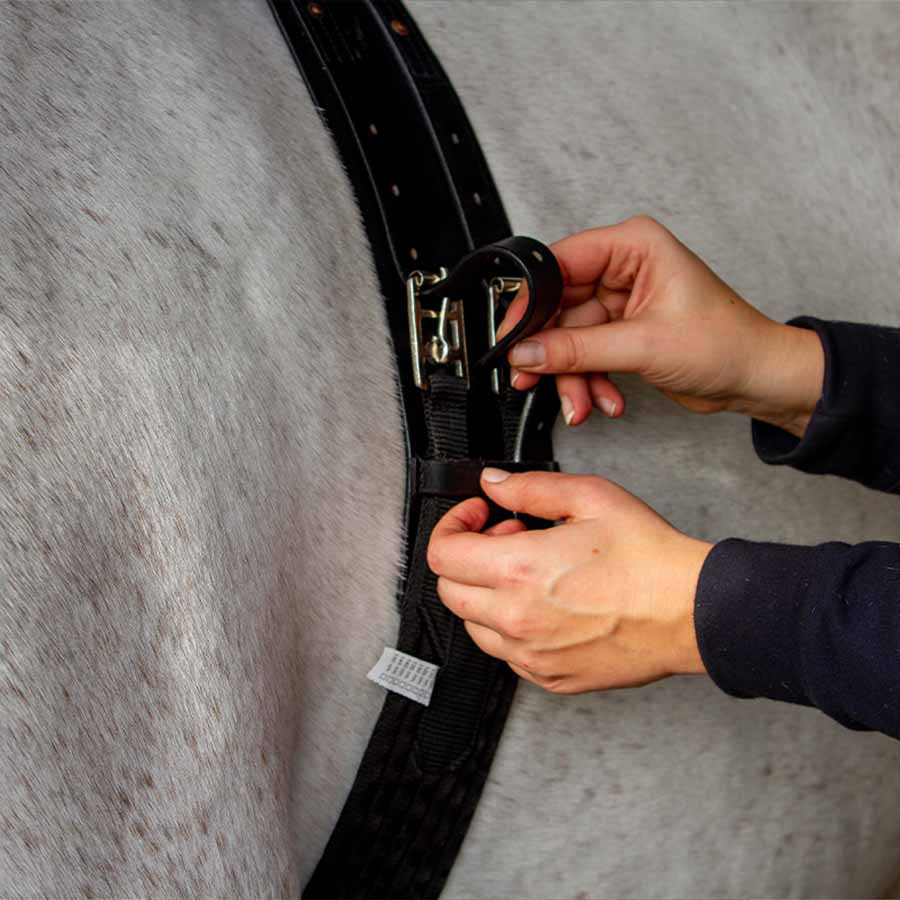 Fölvakt Birth Alarm Mobile 2.0 med Anti-Rullgjord & WiFi-Kamera