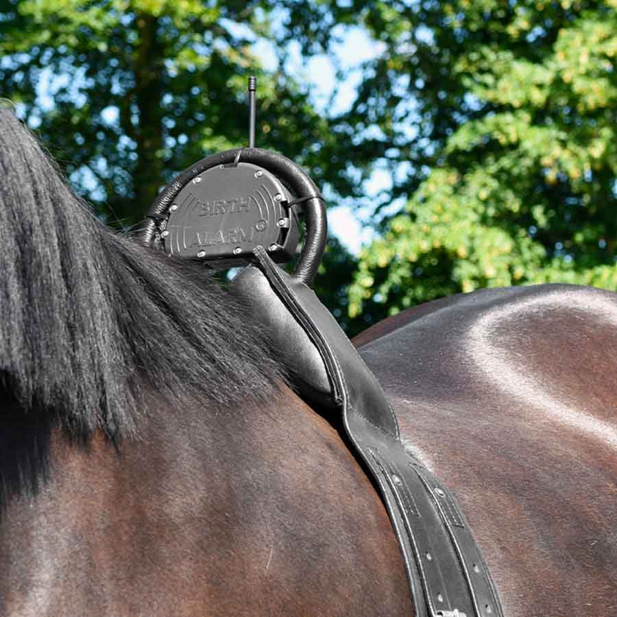 Fölvakt Birth Alarm Mobile 2.0 med Anti-Rullgjord & WiFi-Kamera