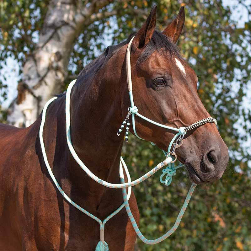 Repgrimma med Tyglar Combi Liberty Ljusgrön