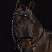 Träns Equitus Beta Glam Svart Träns Equitus Beta Glam Svart