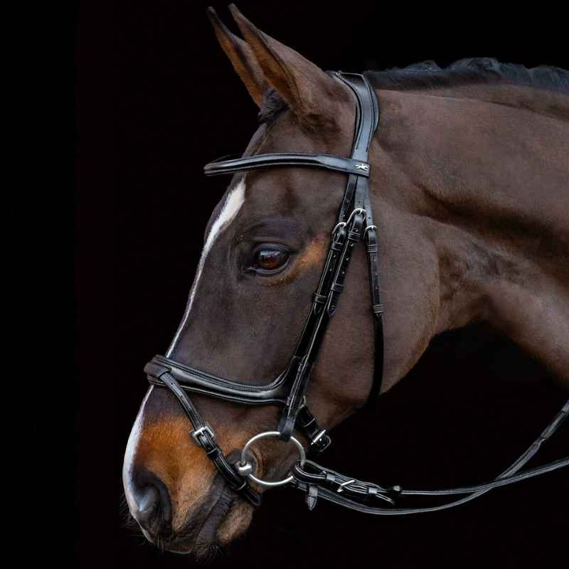 Träns Ancona Select Svart