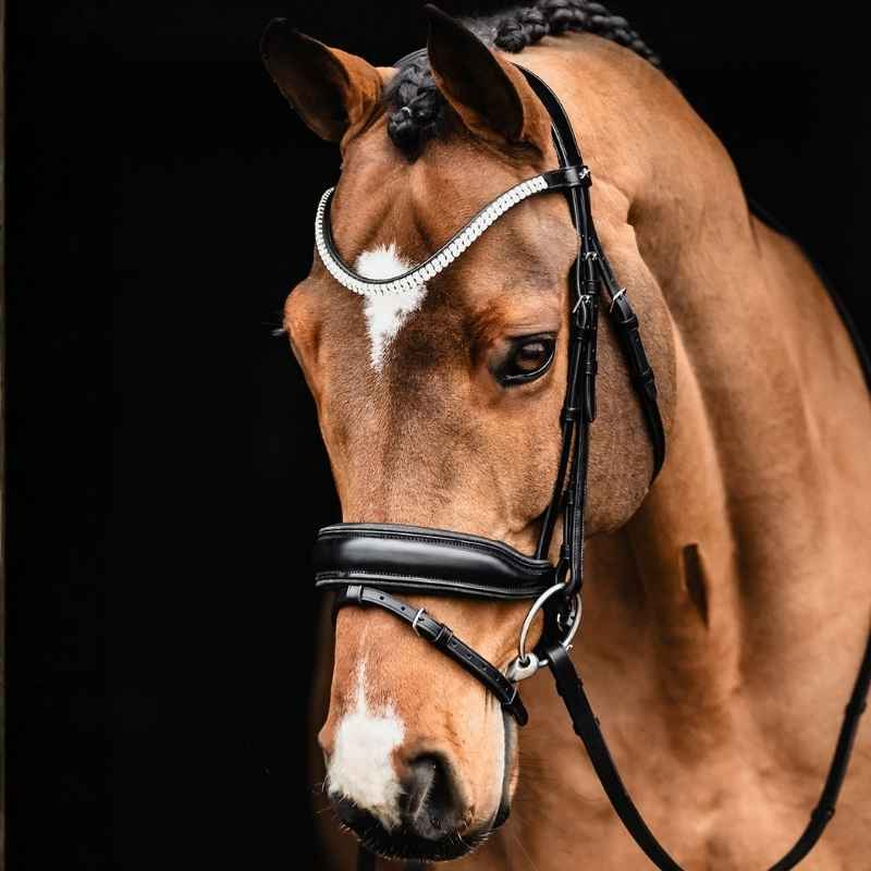 Dressyrträns Valencia Svart
