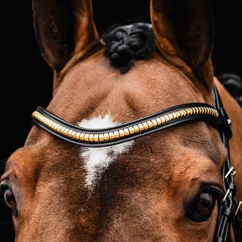 Pannband Monza C Svart/Guld