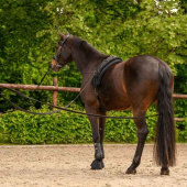 Dubbel Longerlina Classic Svart Dubbel Longerlina Classic Svart