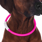 Hundhalsband LED Lights Rosa Hundhalsband LED Lights Rosa